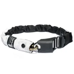 Gold Chain Lock