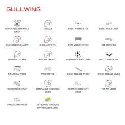 Gullwing