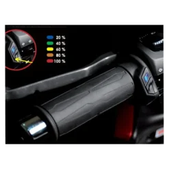 Heated Grips Gold