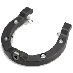 Ion Tankring